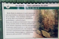Biae Skay